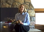 Pest 101: Pest Proofing During the Holidays 