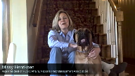 Pest 101: Protect Your Pets from Pests - PestWorld