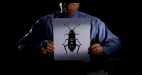 Pest Blot PSA Pest Video - Pest Media 