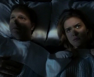 Sleep Tight PSA Pest Video - Pest Media