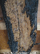 Termite Damaged Wood Picture - Termite Photos from PestWorld