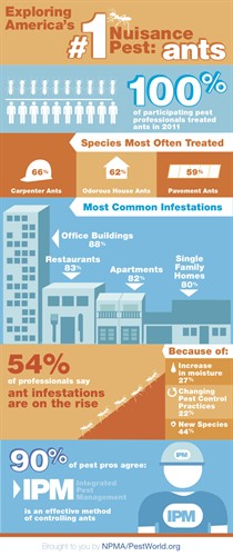 Ant Survey 2012 Infographic