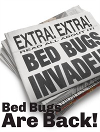 Bed Bugs are Back: What you need to know