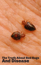 [BED-BUGS-AND-DISEASE].- [NEWS-&amp;-VIEWS-HEALTH-HUB] -Pest Media