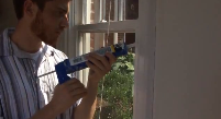 Prevention and Treatment of Ants Pest Video - Pest Media 
