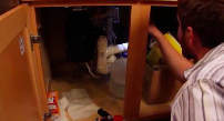 Prevent and Treat Cockroaches Pest Video - Pest Media