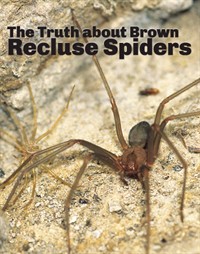 The Truth about Brown Recluse Spiders