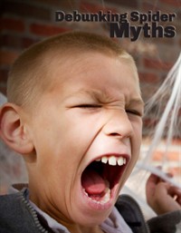 Debunking Common Spider Myths
