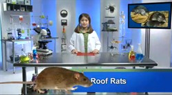 Pest Quest Children's Show