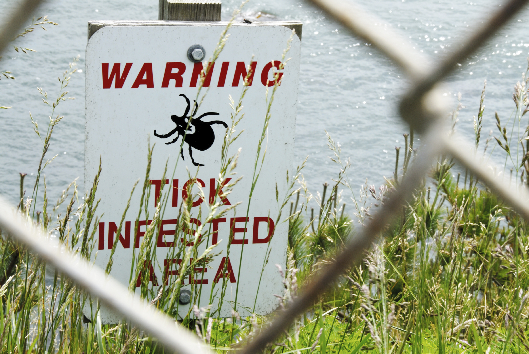 Pest professionals keep us safe from health threats.