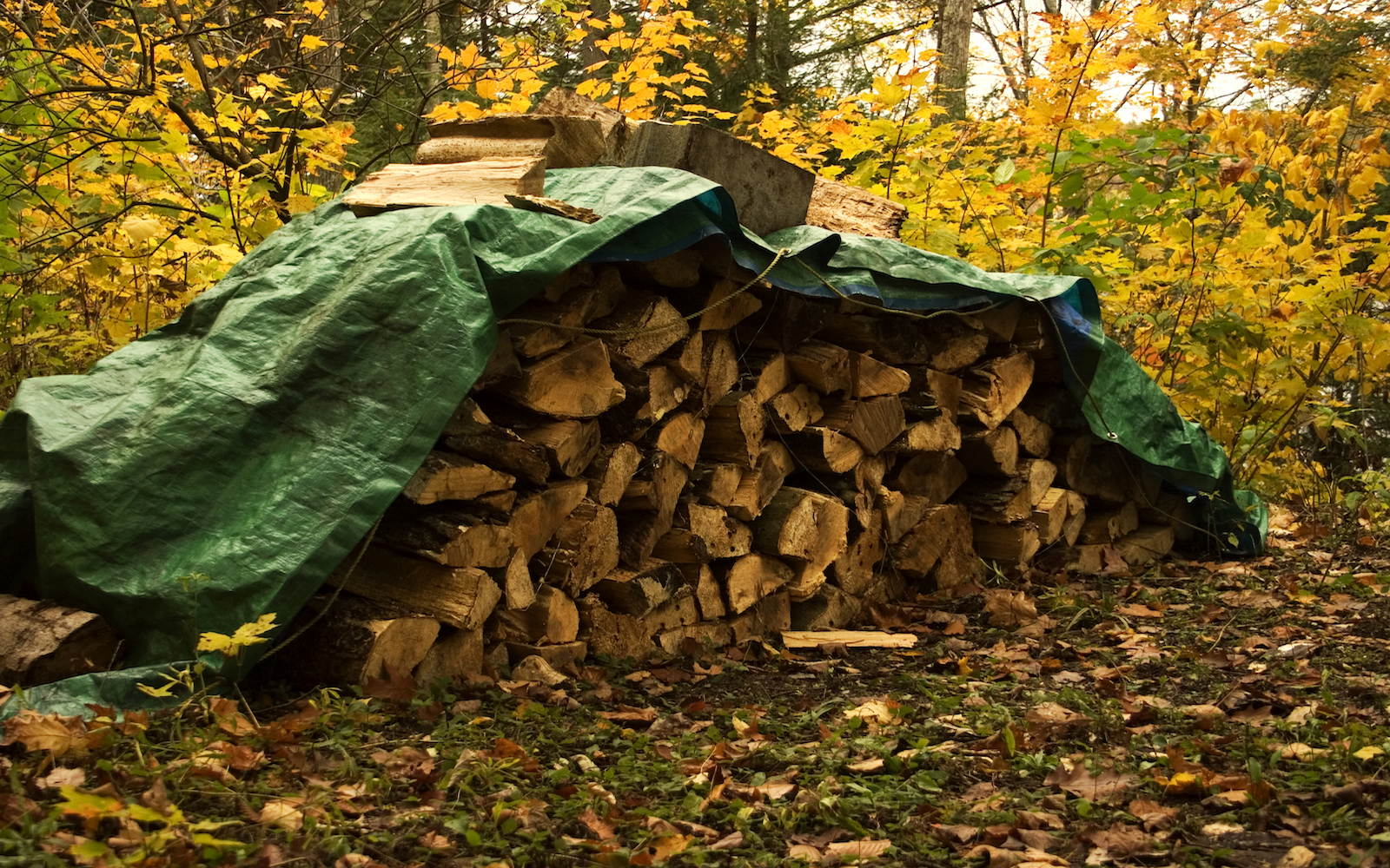 Firewood & Woodpiles
