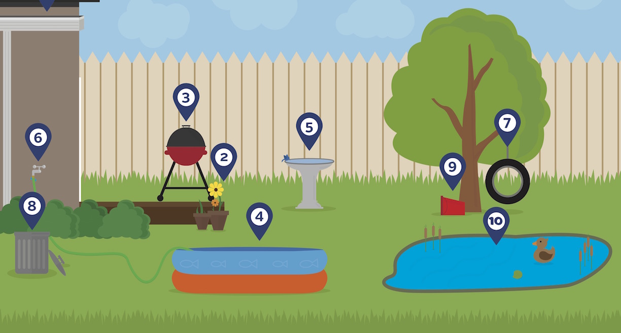 mosquito-breeding-infographic-040216.jpg