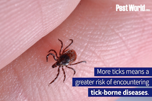 Tick Video Screenshot.png