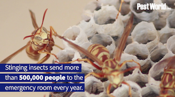 Stinger vid thumbnail_video.png