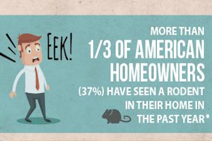 Screen Shot 2017-11-02 at 3.26.55 PM.png