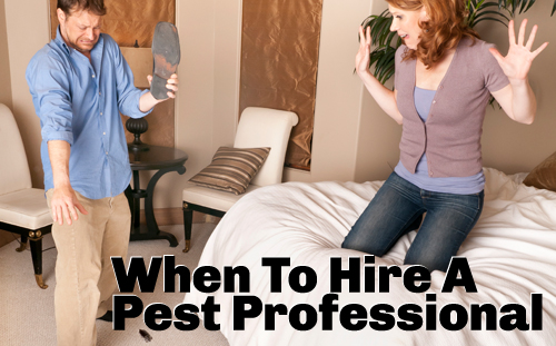 When to hire an exterminator — PestWorld pest control 