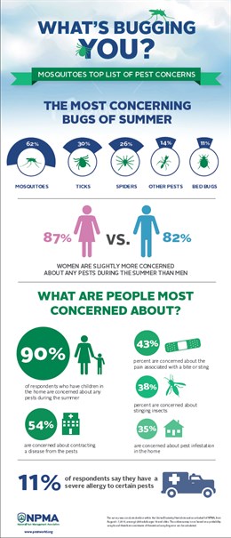 Summer Pests Infographic 2013