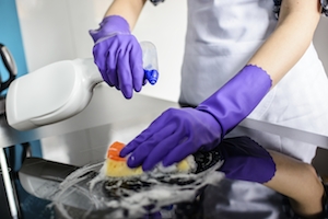 Cleaning your home to prevent pests