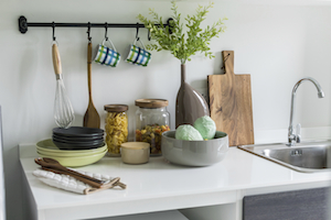 a pest-free kitchen countertop