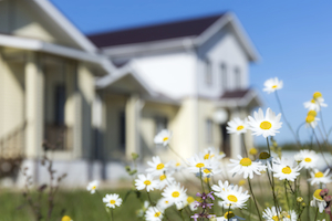iStock_000048867574_Medium.jpg