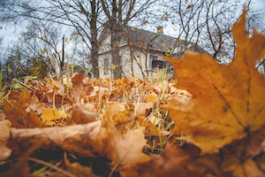 iStock_000050670998_Medium.jpg