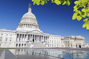 iStock_000060707714_Medium.jpg