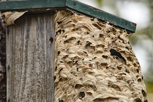 iStock_000082157463_Medium 3.jpg