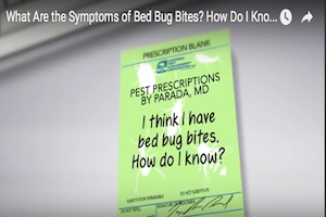 Where Do Bed Bugs Come From? Identify Bed Bugs Info