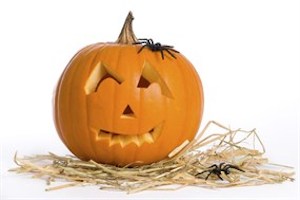 Spiders crawling on a jack-o-lantern