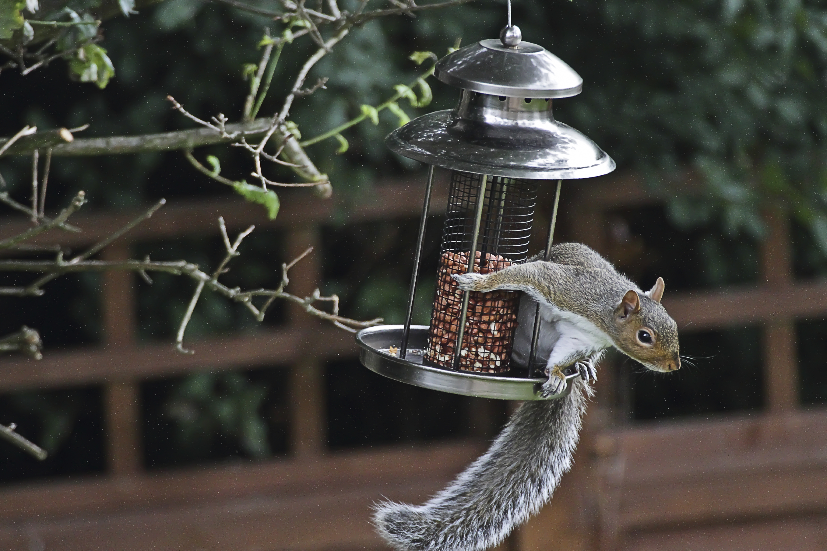 iStock_000043152516_Large.jpg
