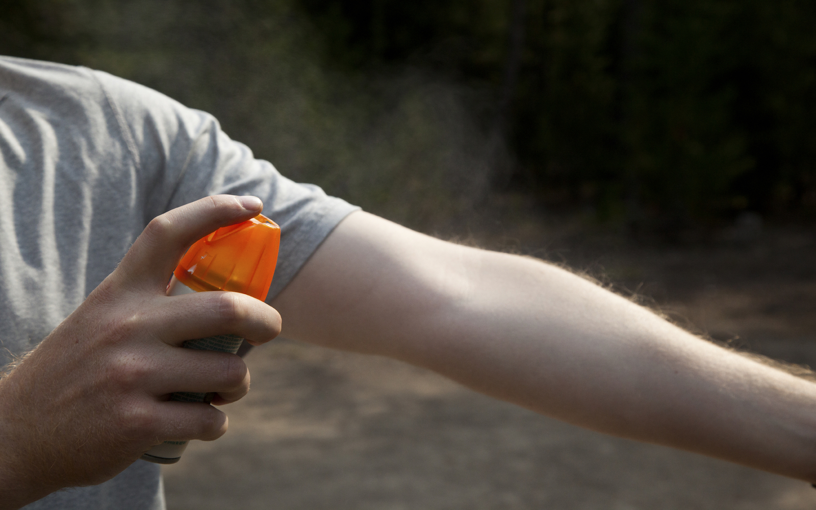 Apply an Insect Repellent