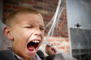 scared of spiders.jpg