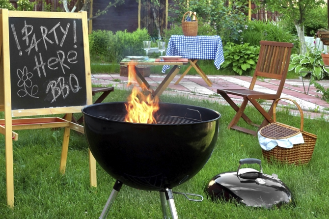Summer Bugs How To Get Rid Of Pests At Backyard Bbqs This Summer
