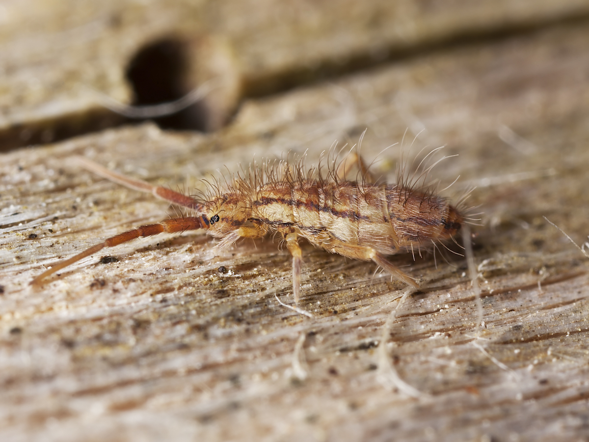 iStock_000016317413_Large.jpg