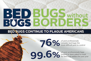 2013 BWB Infographic Thumbnail.png