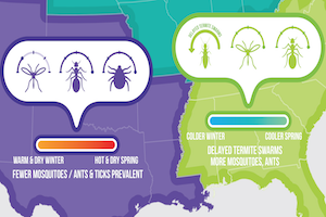 2015 Spring Bug Barometer Infographic Thumbnail.png