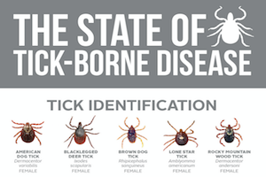 2015 Tick Infographic Thumbnail.png