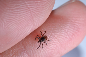 Female on skin IV.jpg