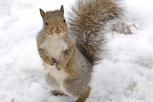 iStock_000053340376_Medium 3.jpg