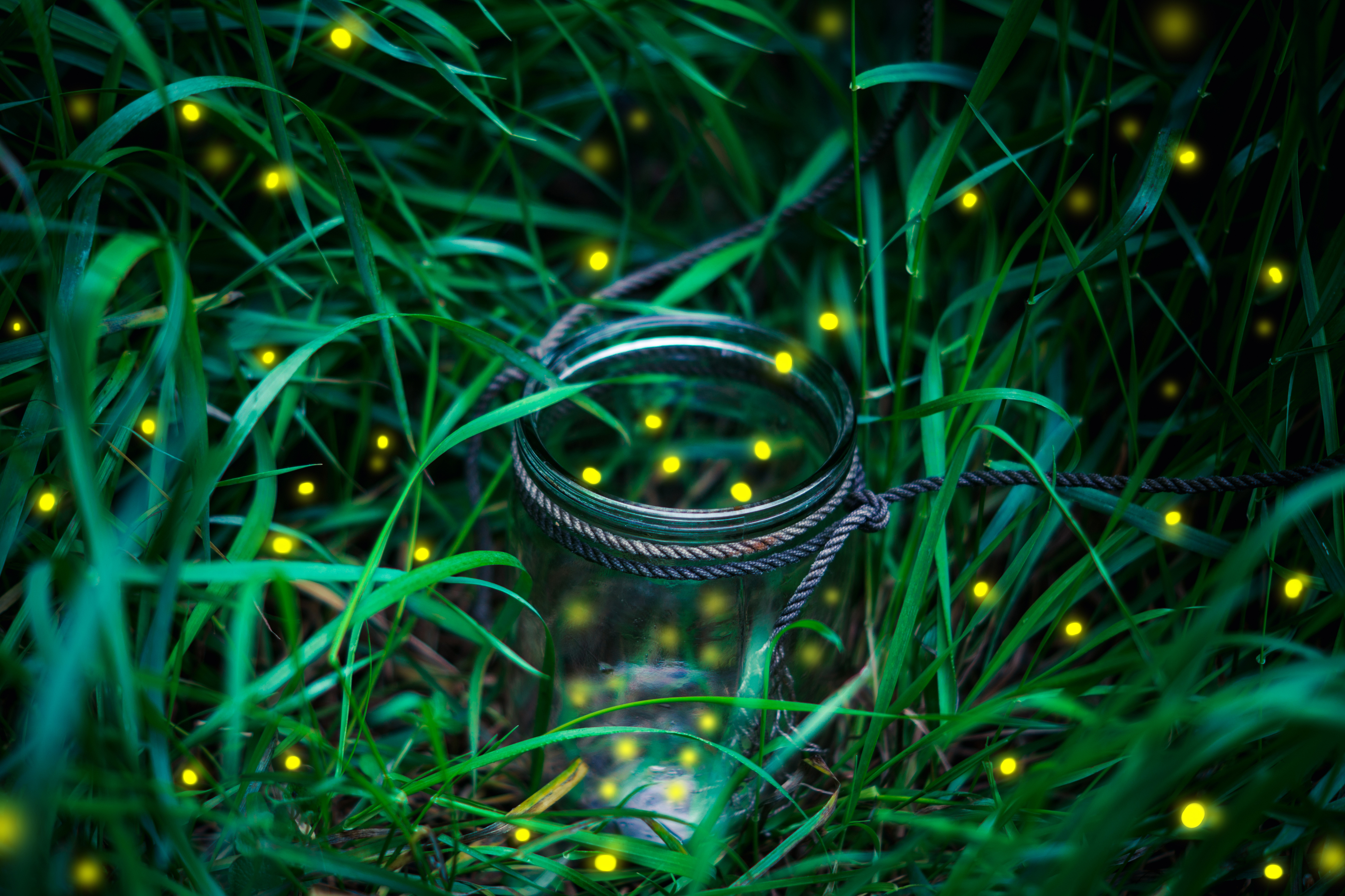 iStock-644388912.jpg