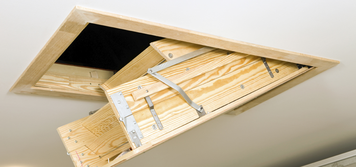 Pests in the Attic: How They Get There, What to Do About It