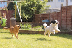 iStock_000058129080_Medium 2.jpg