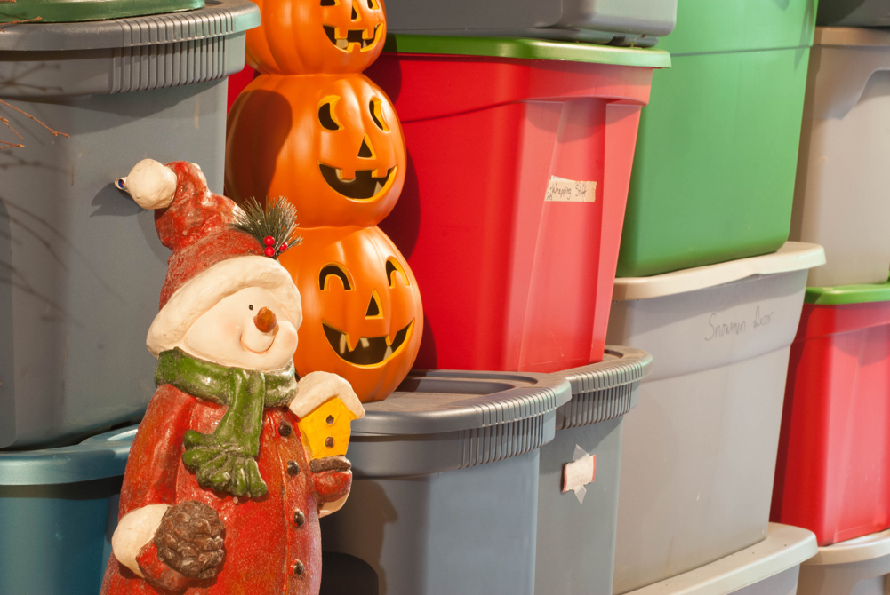 Basement Bugs Insects Insect Control Info Basement Bugs Insects, How To Get Water Out Of Basement Without A Pumpkin
