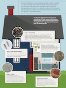 tiny-termite-infographic-callout.jpg