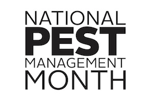 npm-month-logo.jpg