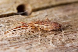 istock_000016317413_large.jpg (1)