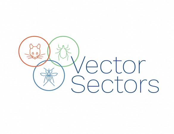 vector-sectors.png