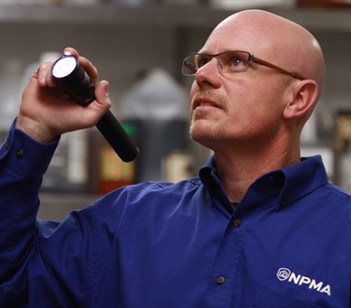 Pest control professional investigating an infestation