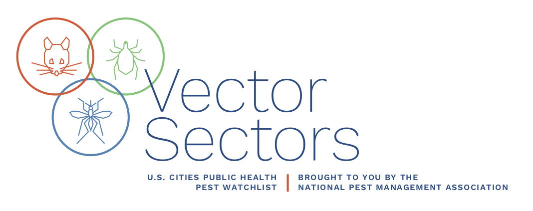 2019 Summer Vector Sectors Logo.jpg