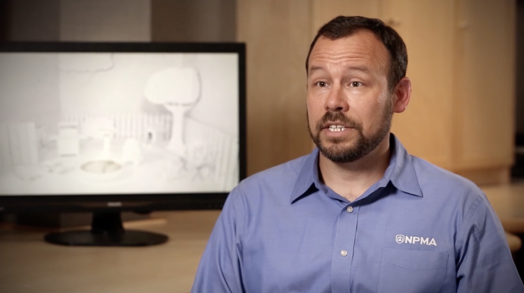 What Do Bed Bug Bites Look Like?